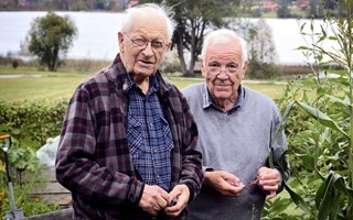 De lär dig mer om växter som blommar i juli