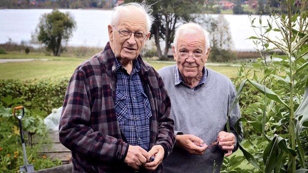 De lär dig mer om växter som blommar i juli De lär dig mer om växter som blommar i juli