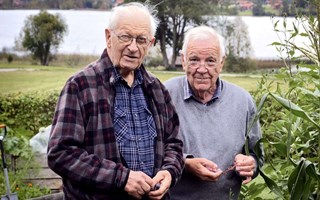 De lär dig mer om augustis blommor