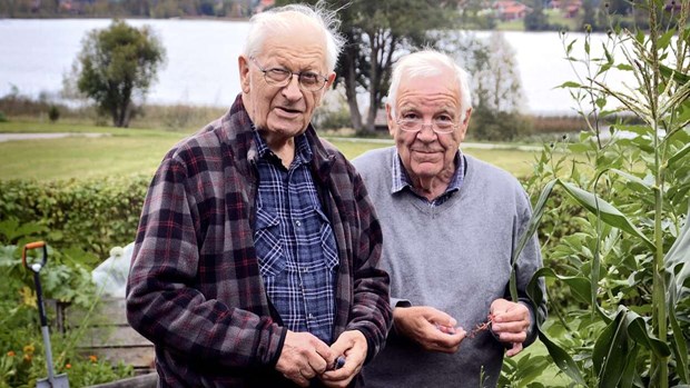 De lär dig mer om augustis blommor