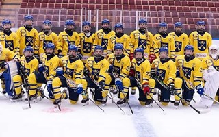 Dalarnas båda lag åkte ut i kvartsfinal