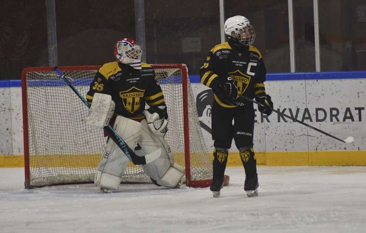 Skogsbo SK spelade den gångna helgen Lidström Cup i hemmahallen. Foto: Niclas Bergvall