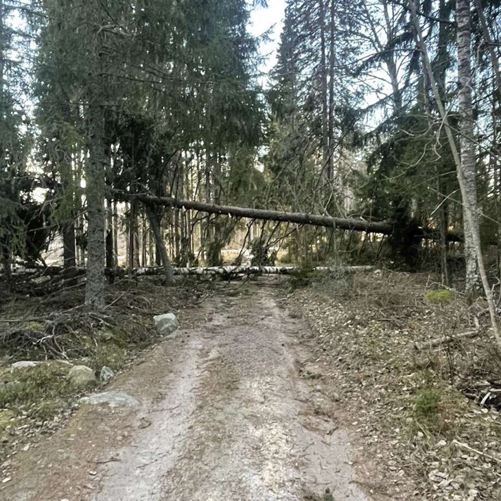 Under morgonen den 28 december var 169 abonnenter utan ström och arbetet i skogarna hade pågått under hela natten. Foto: Hedemora Energi