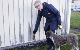 Fasad och utemiljö ska få ett lyft