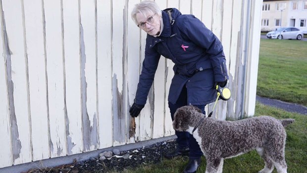 Fasad och utemiljö ska få ett lyft Fasad och utemiljö ska få ett lyft