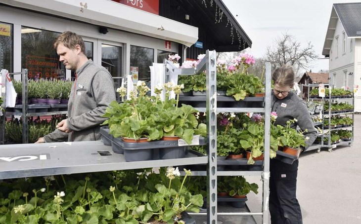 Fixa till växterna utanfär butiken är en av alla uppgifter som Johan Winarve och Sandra Nordkvist har. Foto: Niclas Bergvall