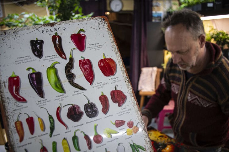 Chilis är alltid populärt hos kunderna. Foto: Christian Larsen