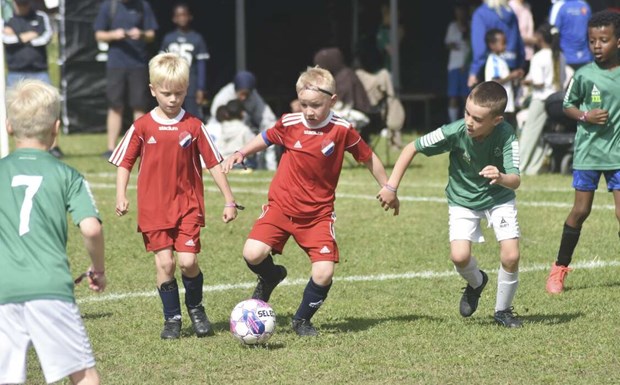 Fulltecknat i nästan alla klasser i Dalecarlia Cup